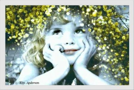 Bonjour tout le monde